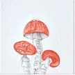 eb044b77-1f82-4c57-8765-71f25e6e0e3f-грибы.png