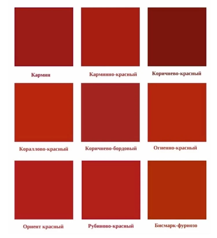 f5c3e196-54fe-46f9-b1db-e0516f60a3d8-палитра.jpg